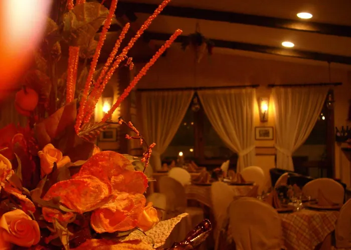 Hotel Lento
